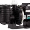 Sta-Rite IntelliFlo SW5P6R VSD 2 Variabele Zwembadpomp -Lasiesta Winkel 2537 1