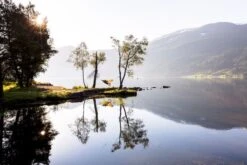 Amazonas Silk Traveller 1 Persoons Reishangmat - Techno -Lasiesta Winkel a181 16 op 01 resultaat